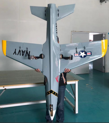 AeroJet Hummingbird ARF PRO 1.8m Farbschema: Jolly Roger