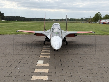 AeroJet SU-30 3D Jet ARF PRO, Farbschema: 05