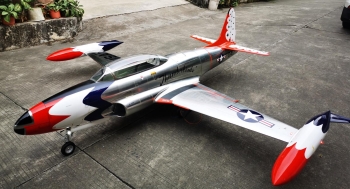 Feibao T-33 THUNDERBIRD ARF - New Metallic Look