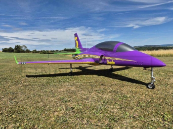 GLOBAL Viper 2.3m Farbschema 11: AIR RACE PINK / YELLOW