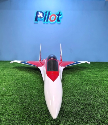Pilot-RC SU30 Elster Jet, Farbschema 03