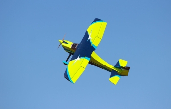 Pilot-RC Skywolf 67" color scheme 04