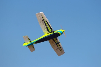 Pilot-RC Skywolf 67" color scheme 04