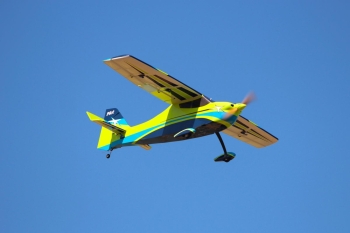 Pilot-RC Skywolf 67" color scheme 04