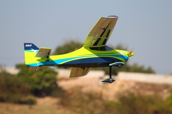 Pilot-RC Skywolf 67" color scheme 04