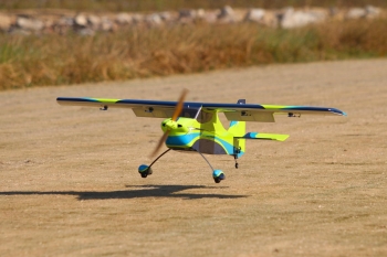 Pilot-RC Skywolf 67" color scheme 04