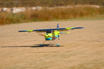 Pilot-RC Skywolf 67" color scheme 04
