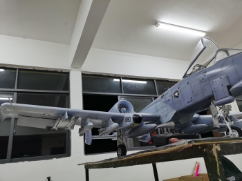 T-OneModel A-10 ARF 1/7