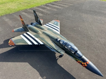 Jetlegend F-15 1/8 PNP colorscheme: US AIR FORCE SANDMAN