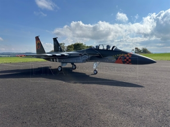 Jetlegend F-15 1/8 PNP colorscheme: US AIR FORCE SANDMAN