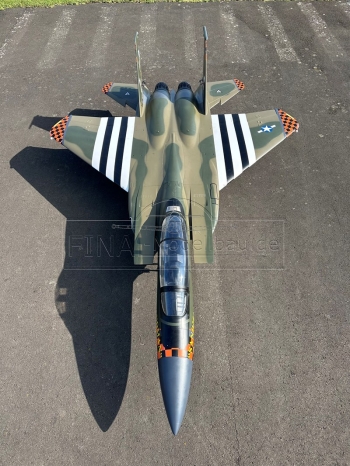 Jetlegend F-15 1/8 PNP colorscheme: US AIR FORCE SANDMAN