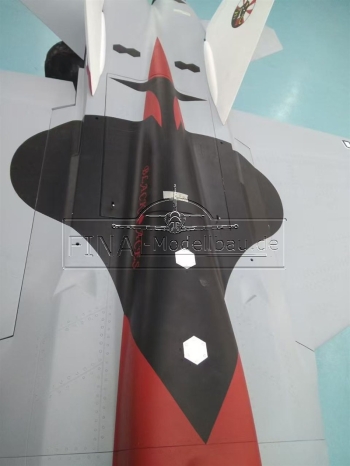 Jetlegend F-18F PNP version, color scheme:  BLACK ACES