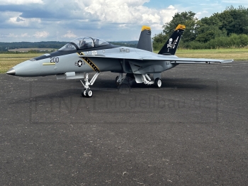 Jetlegend F-18F PNP version, color scheme: JOLLY ROGER