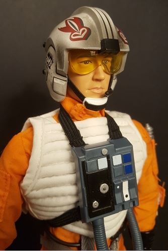 Rogue Pilot 1/6 Scale