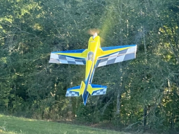Pilot-Rc EDGE 540 39'' (1.0m) Farbschema: 02
