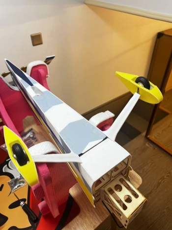 Pilot-Rc EDGE 540 39'' (1.0m) Farbschema: 01