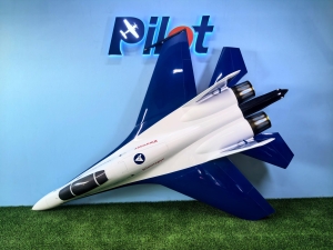 Pilot-RC SU30 Elster Jet, Farbschema 02