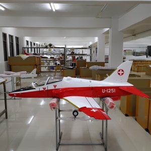 T-OneModels Mini Hawk T1 Farbschema 4 Pro Version