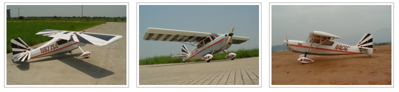 FINAL-Modellbau PILOT RC