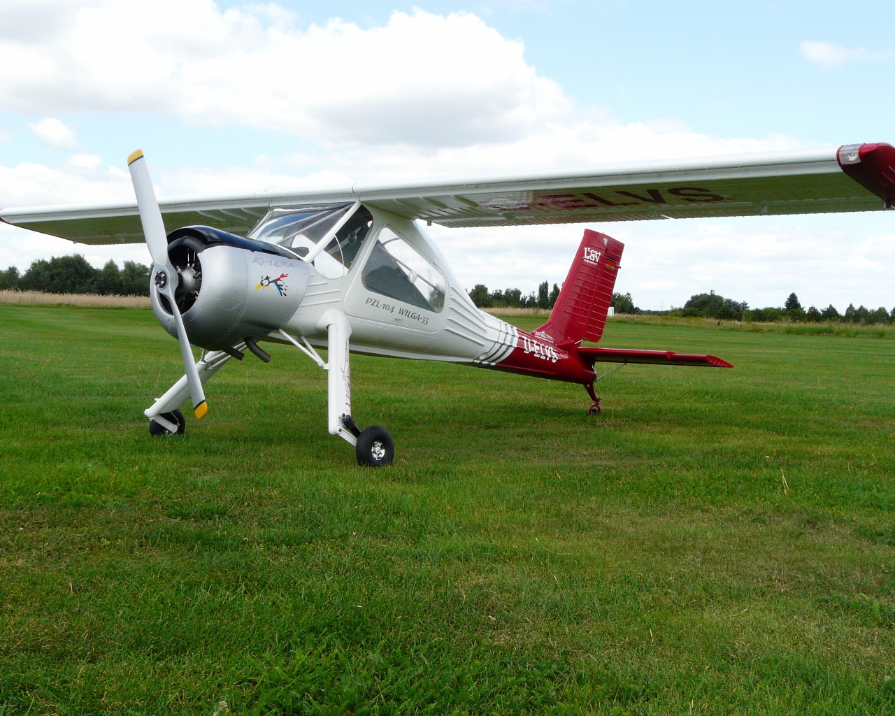 wilga rc plane