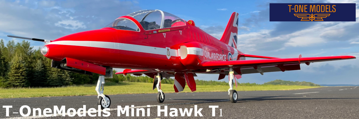 T-OneModels Mini Hawk